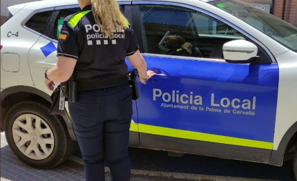 Fepol cervello