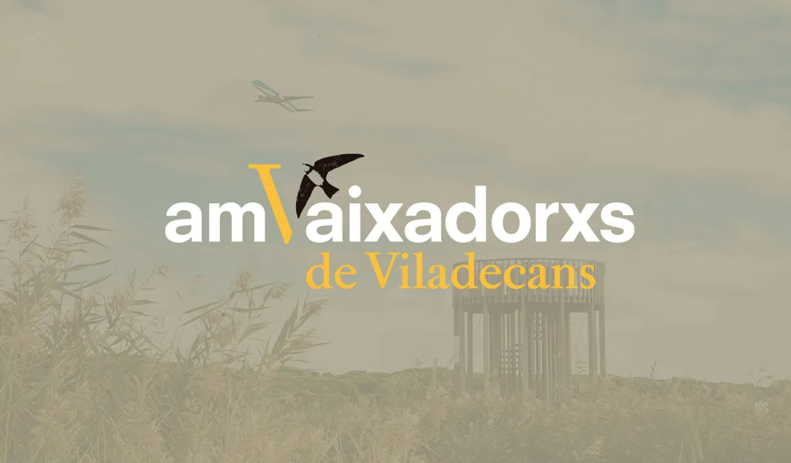 Amvaixadors