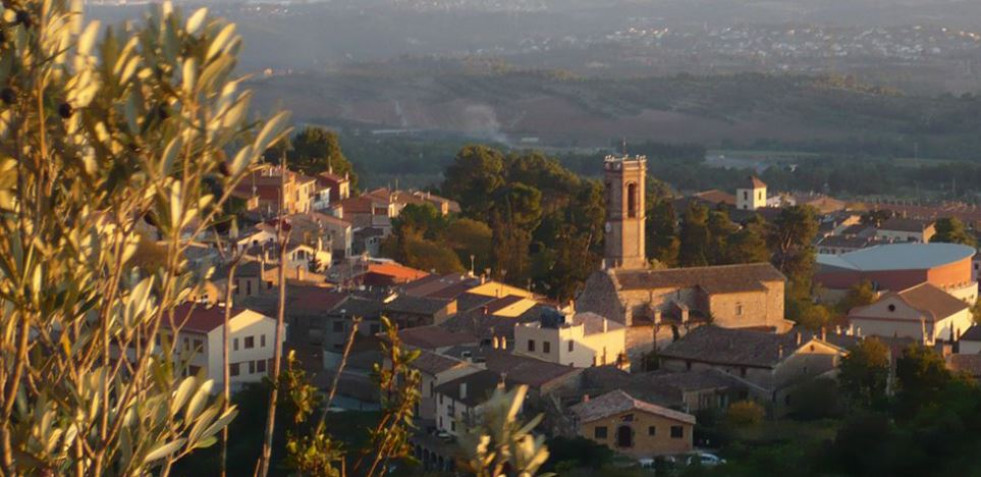 COLLBATO3