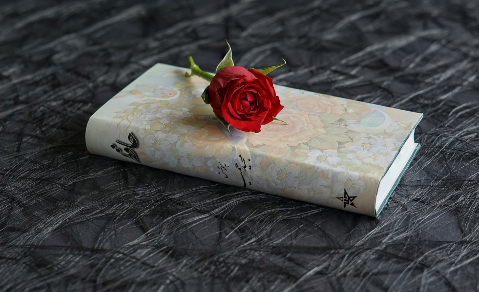 A book g501db1324 1920