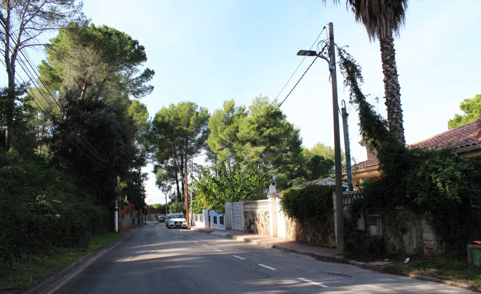 Carrer mossen damia