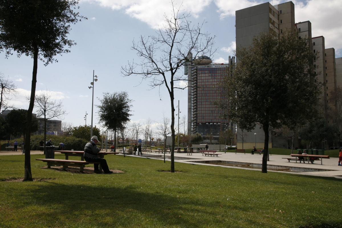 L'Hospitalet de Llobregat (Barcelona) ha adjudicado el nuevo contrato de conservación del verde urbano por 11,1 millones de euros.