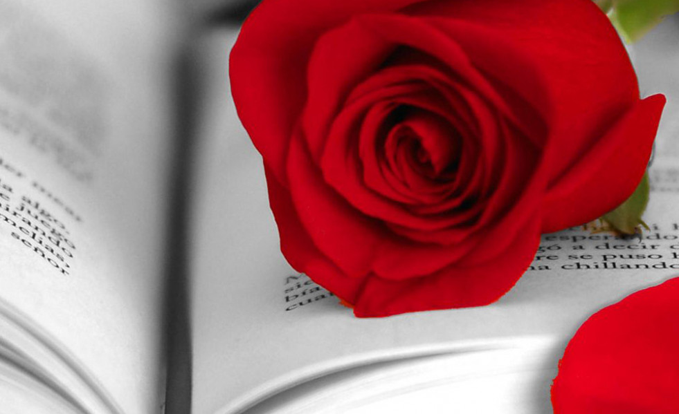 Sant jordi 3