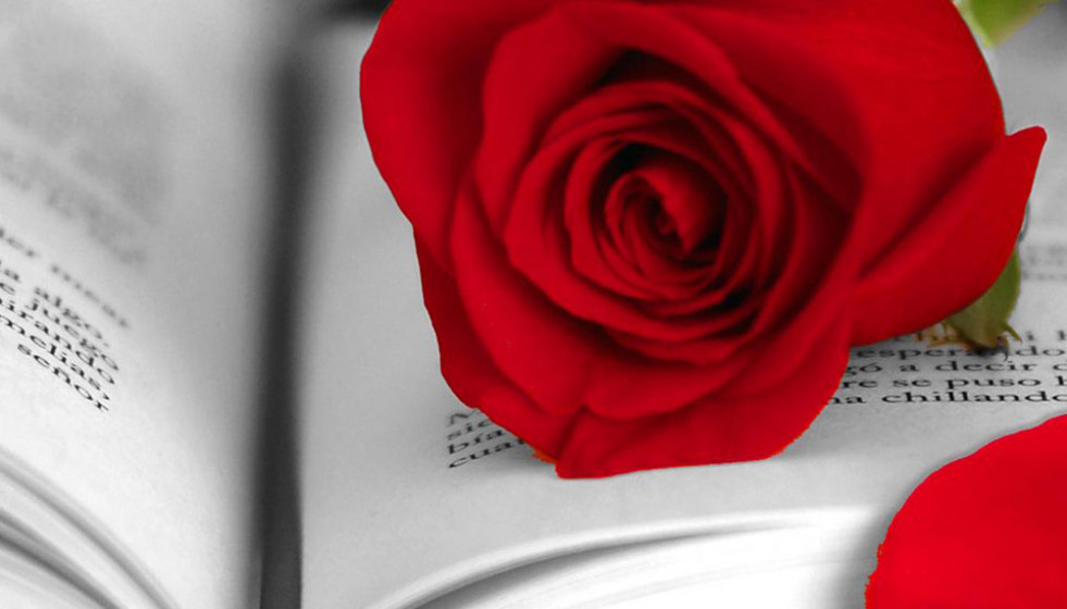 Sant jordi 3