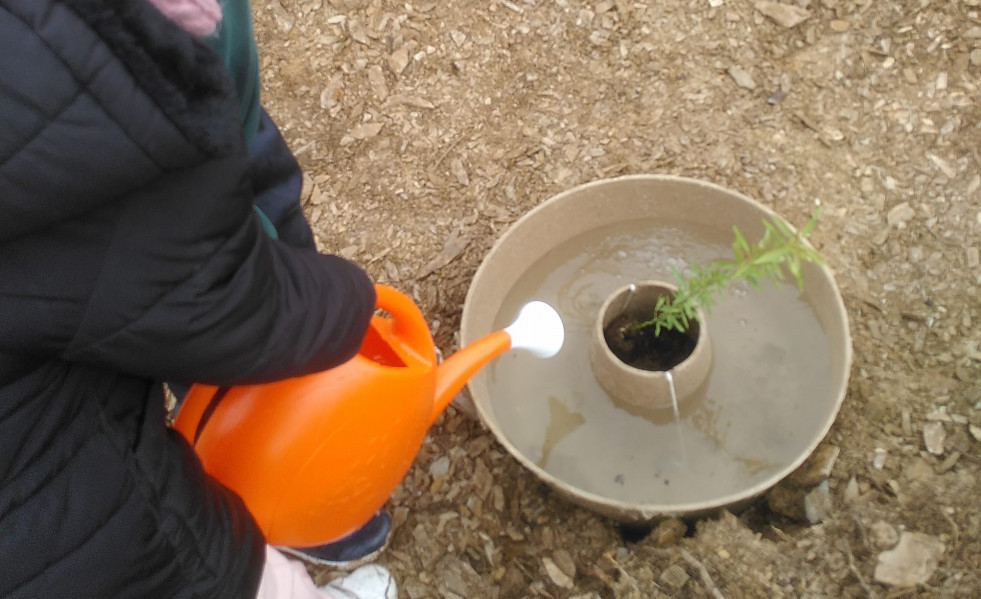 IMG 20220323 113246 scaled