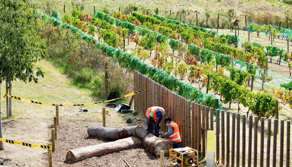 Archivo - Instalación de treinta refugios de biodiversidad creados a partir de árboles caídos por los temporales, especialmente durante el Glòria, en los parques metropolitanos.