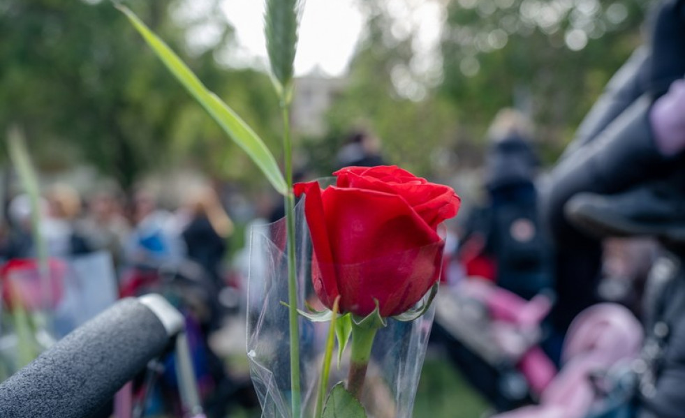 1ce647b8 3ed3 488b a04a 7347831a904b