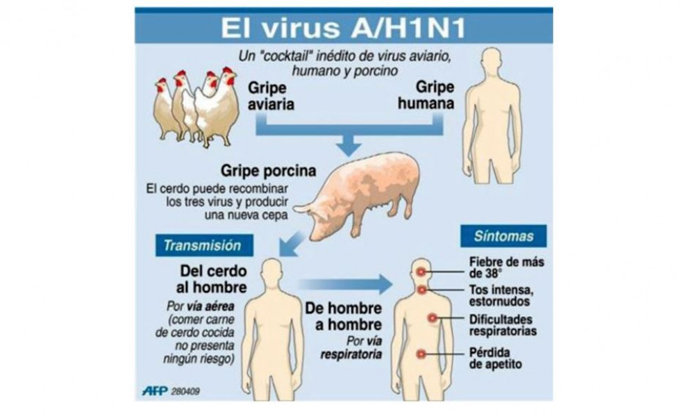 Gripea