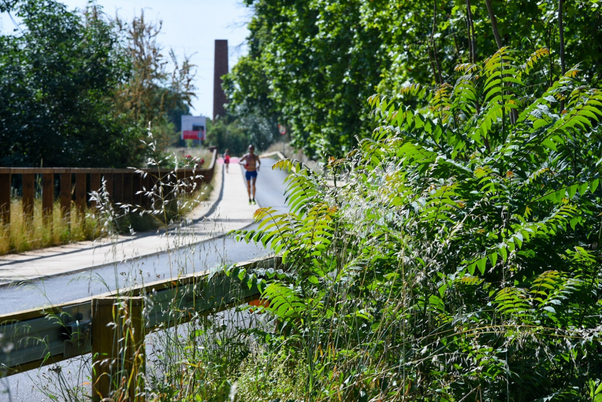 Las actuaciones del AMB consolidan el curso fluvial del Llobregat como un espacio de ocio y deporte