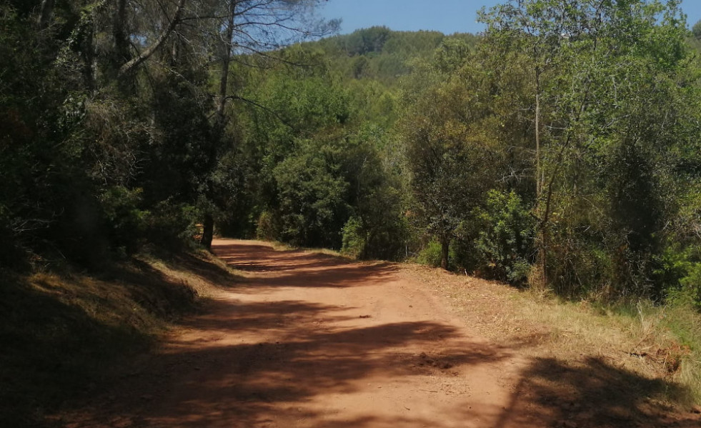 Img 20220610 wa0012ok