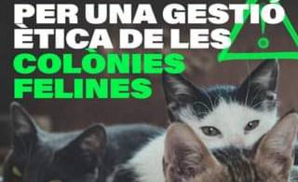 Buena