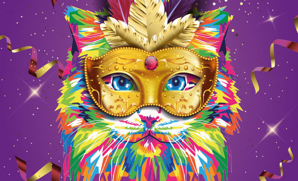 Vilapress foto carnaval