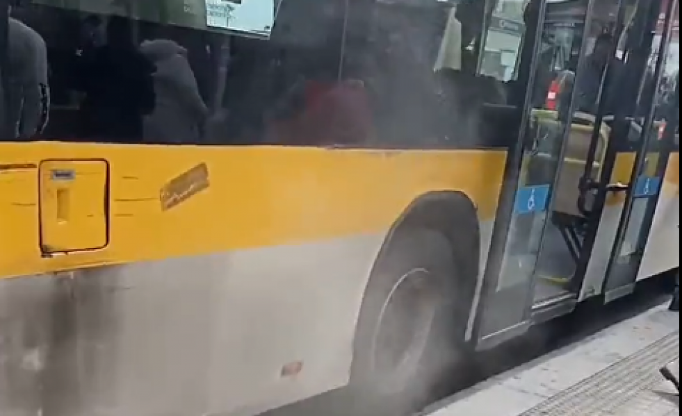 Bus
