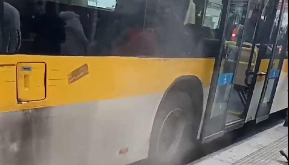 Bus