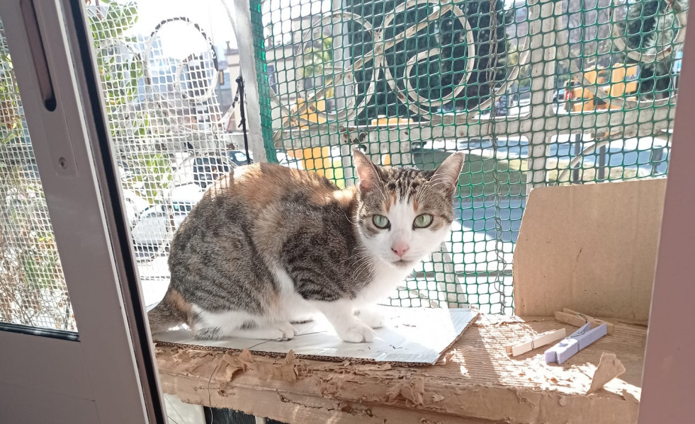 WhatsApp Image 2023 03 22 at 16.24.45