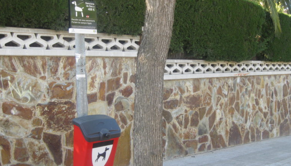 P16 gossos 1030x438