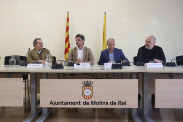 Molins