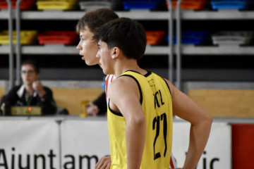 Basket almeda