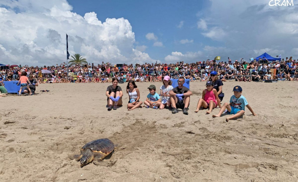 Tortugas
