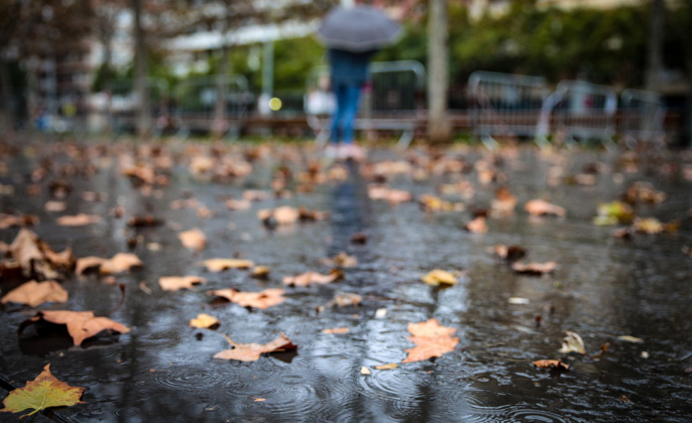 Archivo - Varias hojas en el suelo a causa de la lluvia, a 17 de enero de 2023, en Barcelona, Catalunya (España)