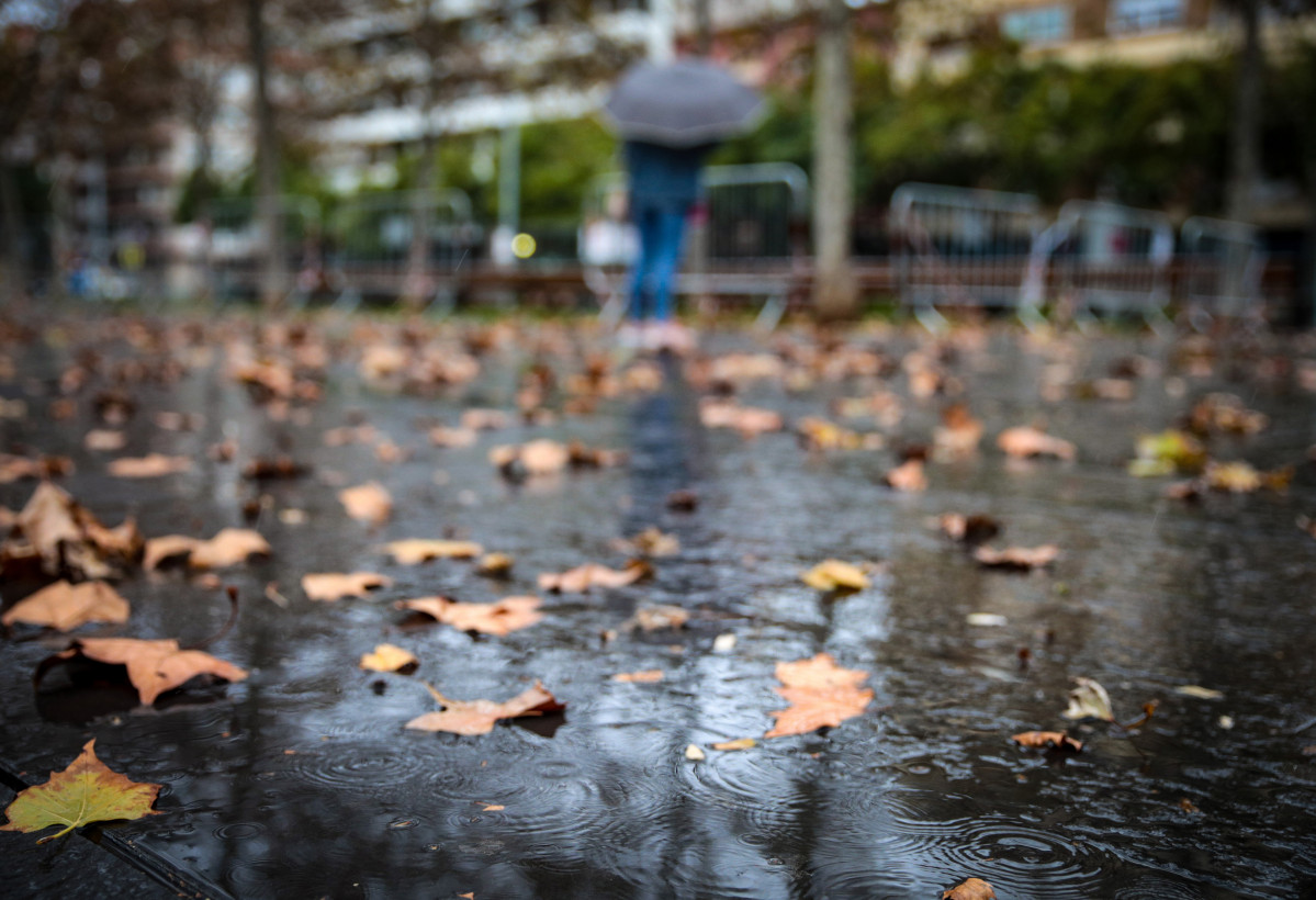 Archivo - Varias hojas en el suelo a causa de la lluvia, a 17 de enero de 2023, en Barcelona, Catalunya (España)