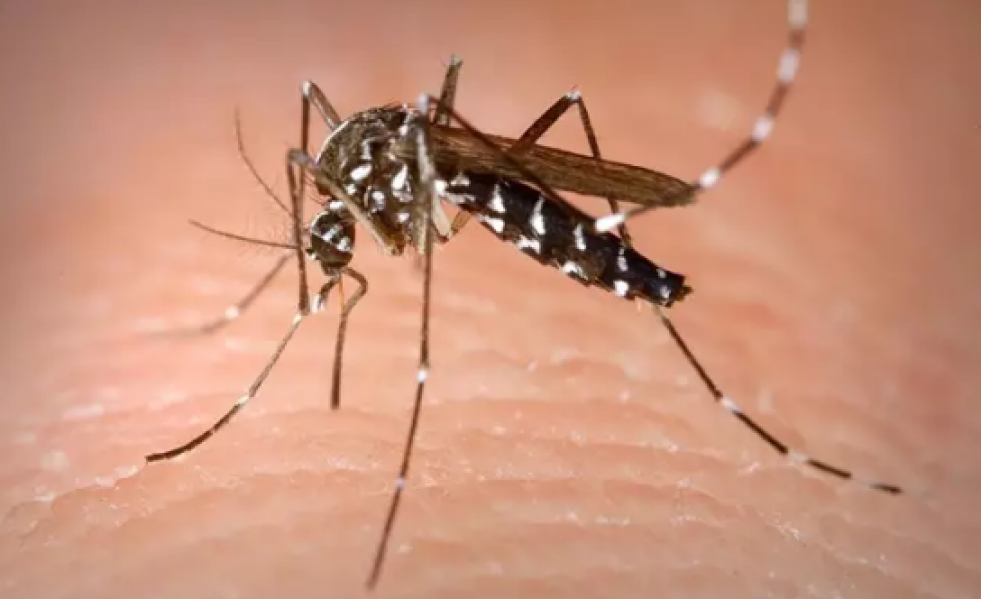 Virus del nilo