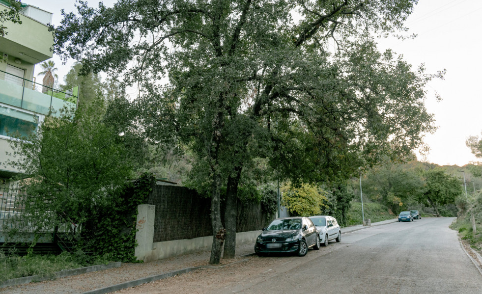 Sant Vicenç Horts