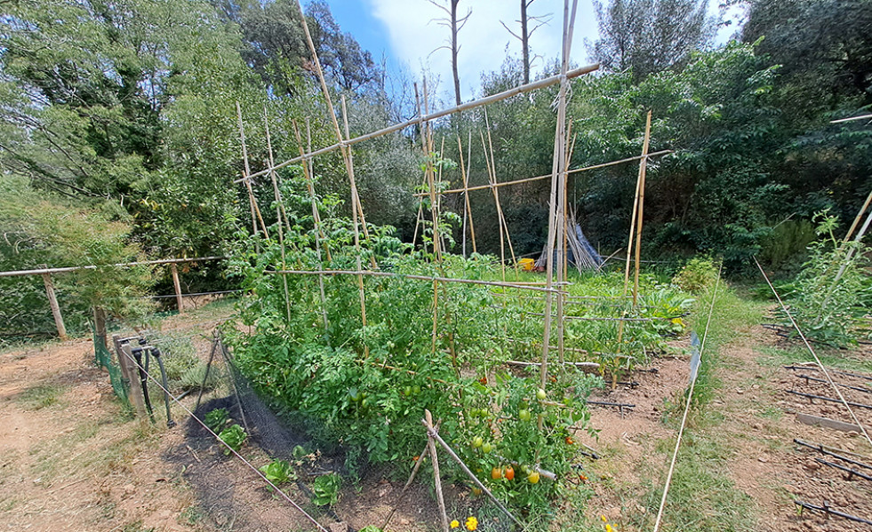 HortsUrbans