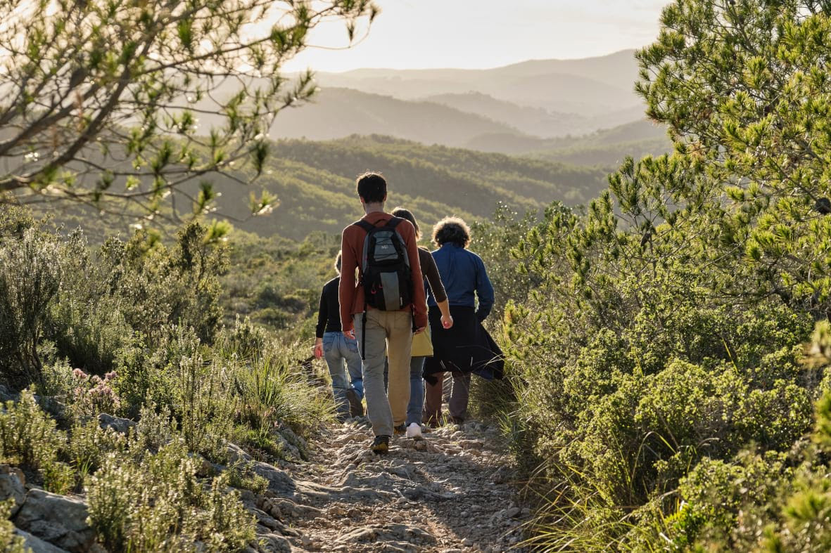 Imagen de un grupo de personas paseando por el bosque