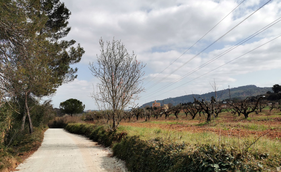 Zona agricola Castellvi
