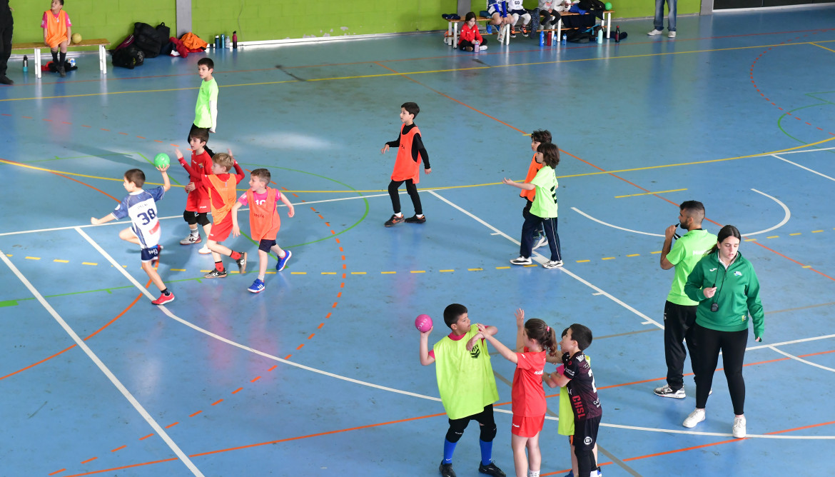 Consell Esportiu (511)