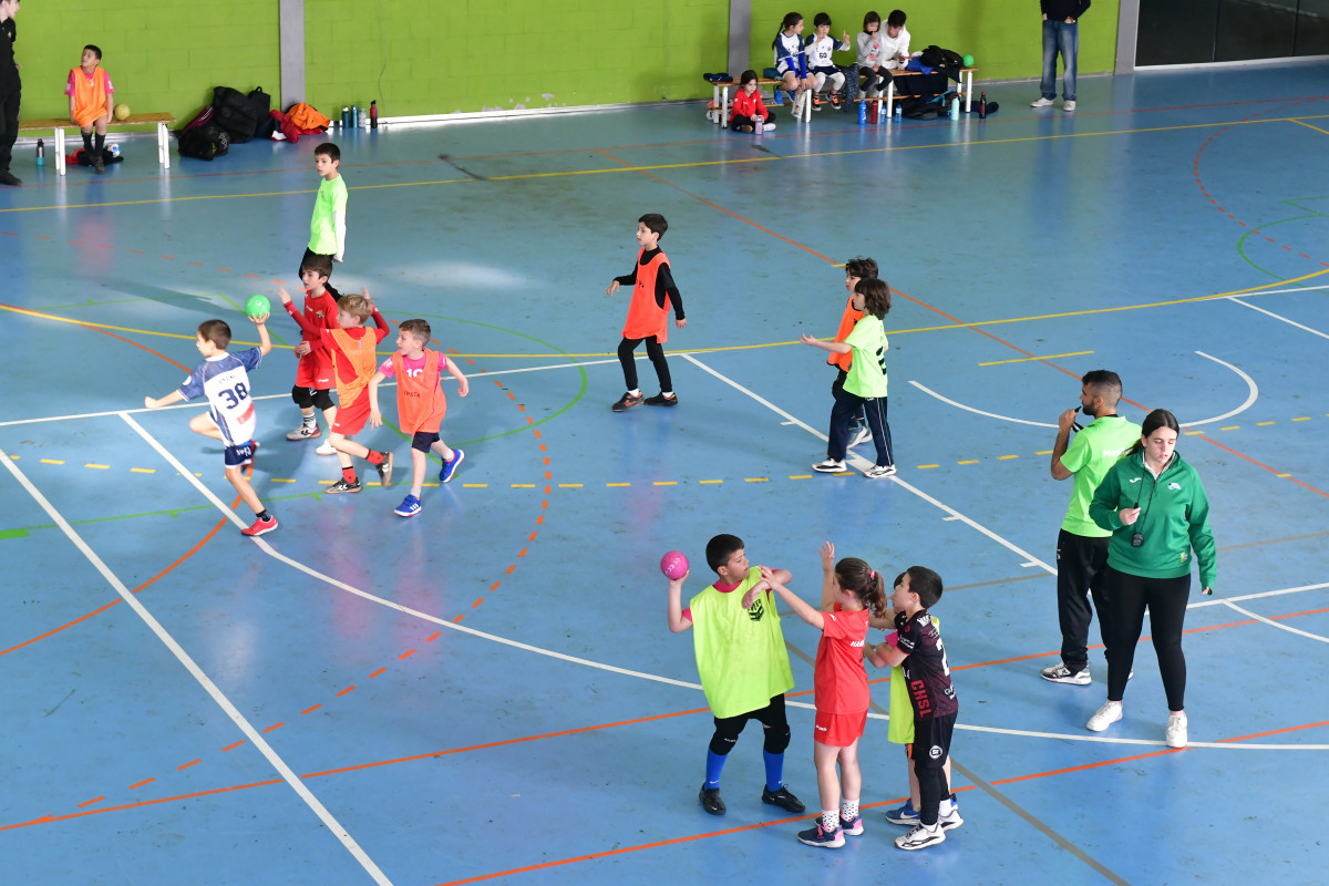 Consell Esportiu (511)