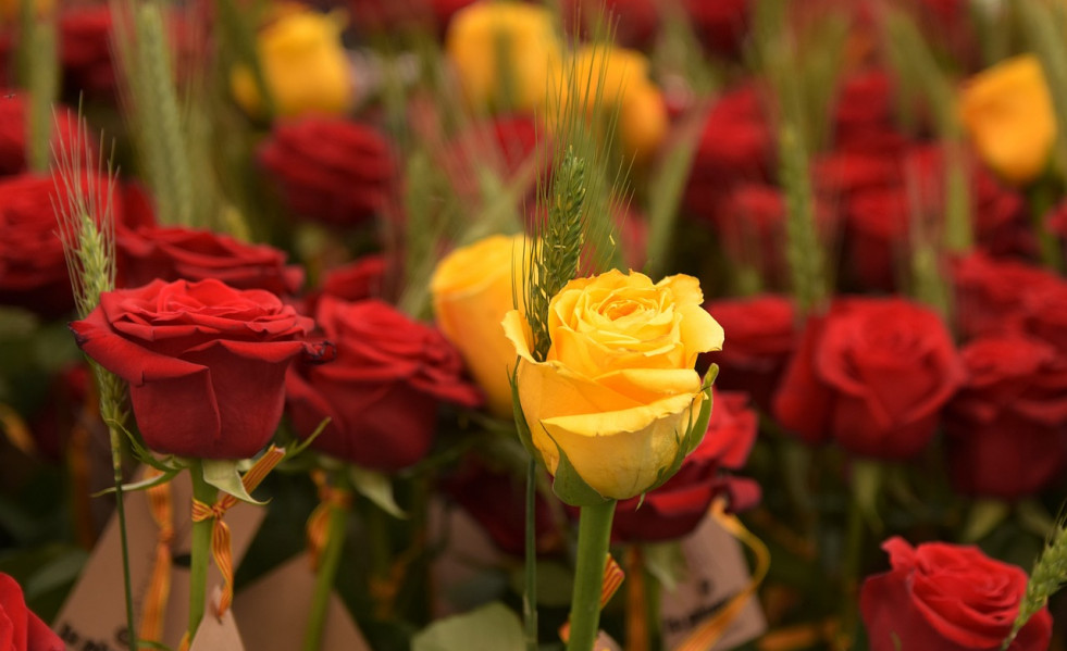 Sant jordi 4150511 1280
