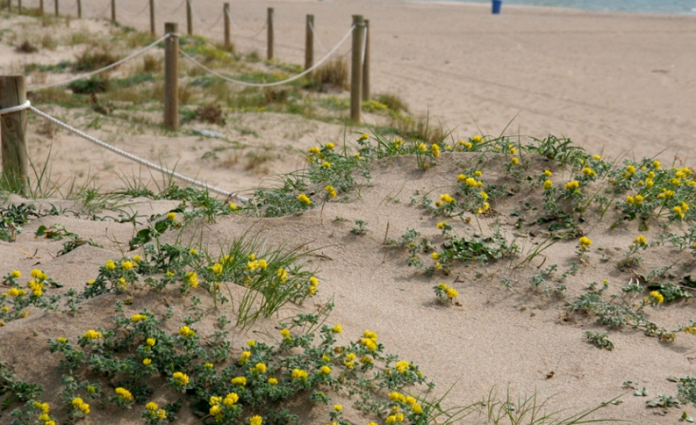 Platja qua