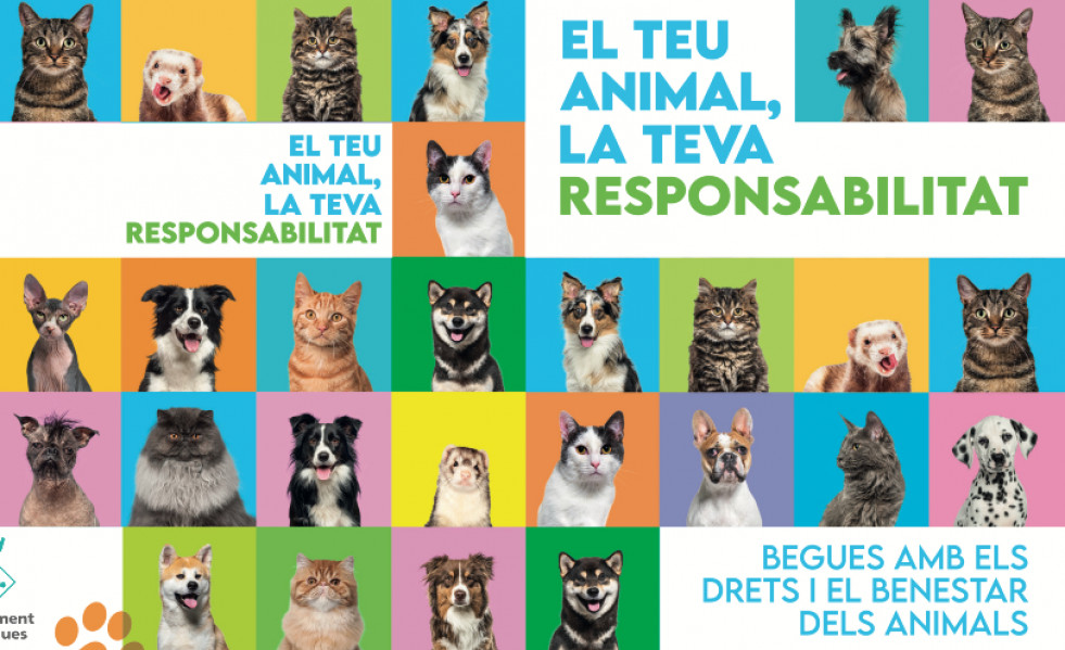 Animales begues
