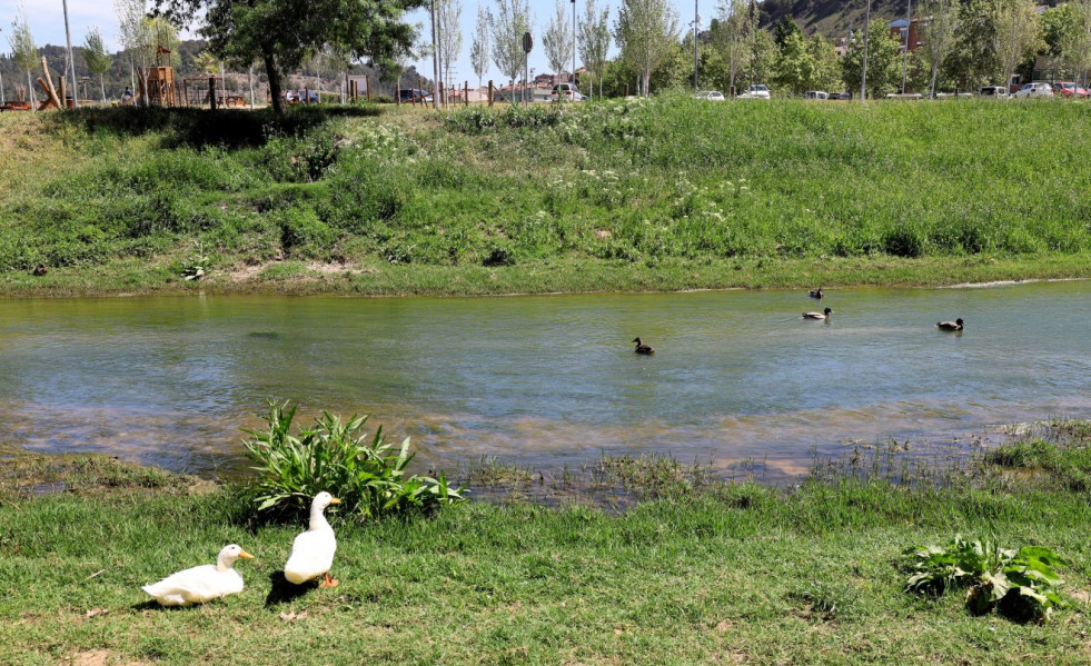 Martorell medio ambiente 2