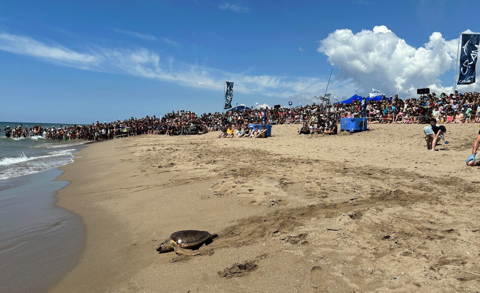Liberación de una tortuga en la playa de El Prat de Llobregat (Barcelona).