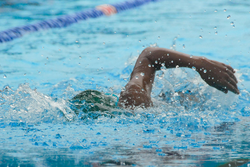 Noti web campionat piscina