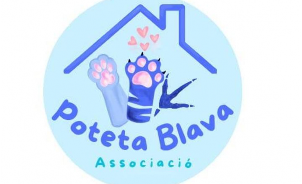 Poteta blaba
