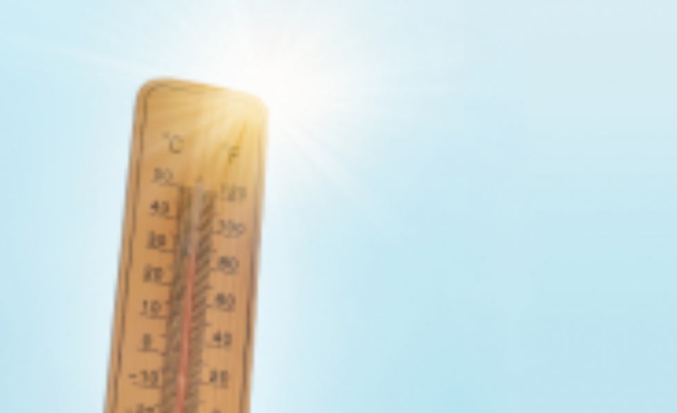 Calor