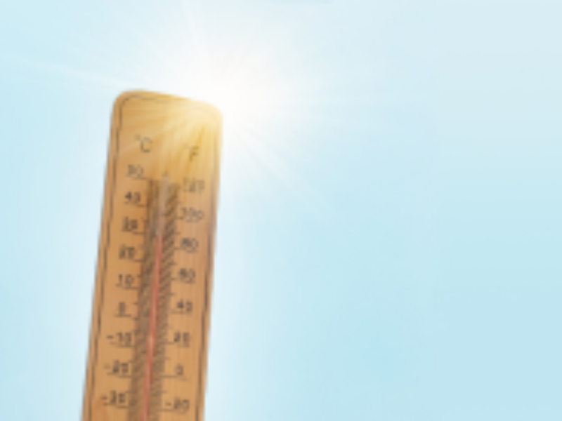 Calor