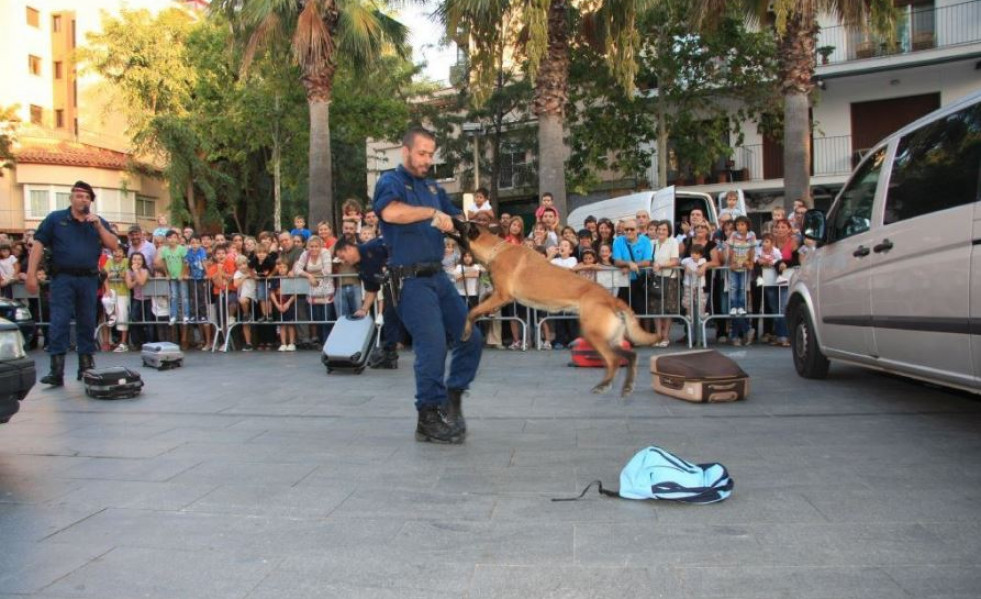 Policia local