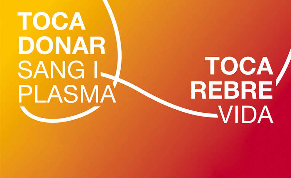 Paladius octubre 24 1 960x640