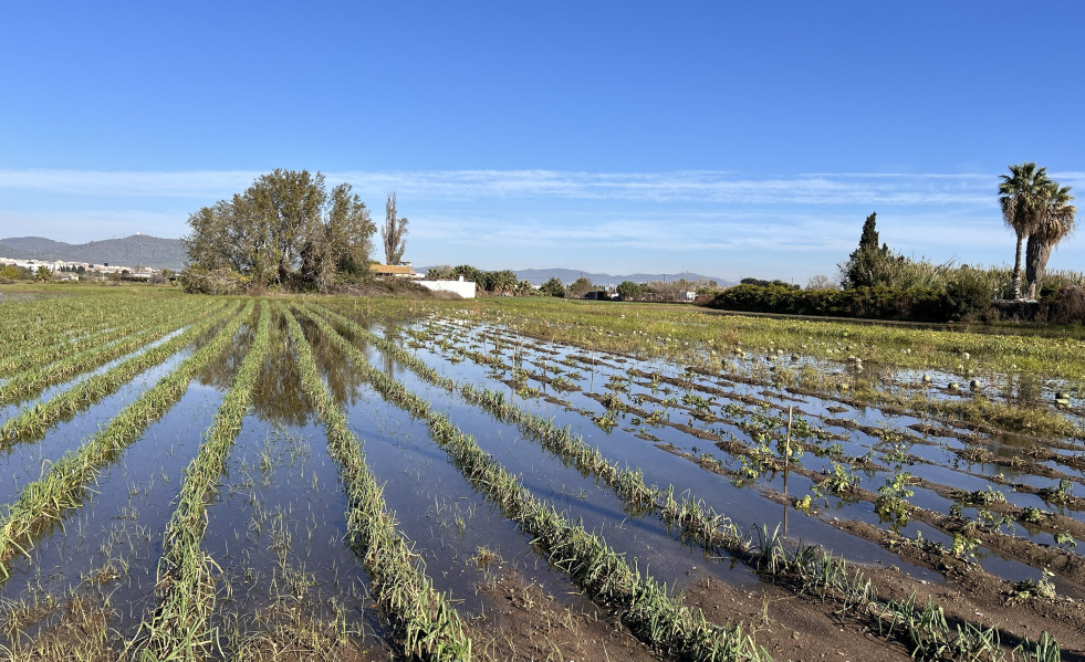 EuropaPress 6342051 campo inundado parc agrari llobregat barcelona