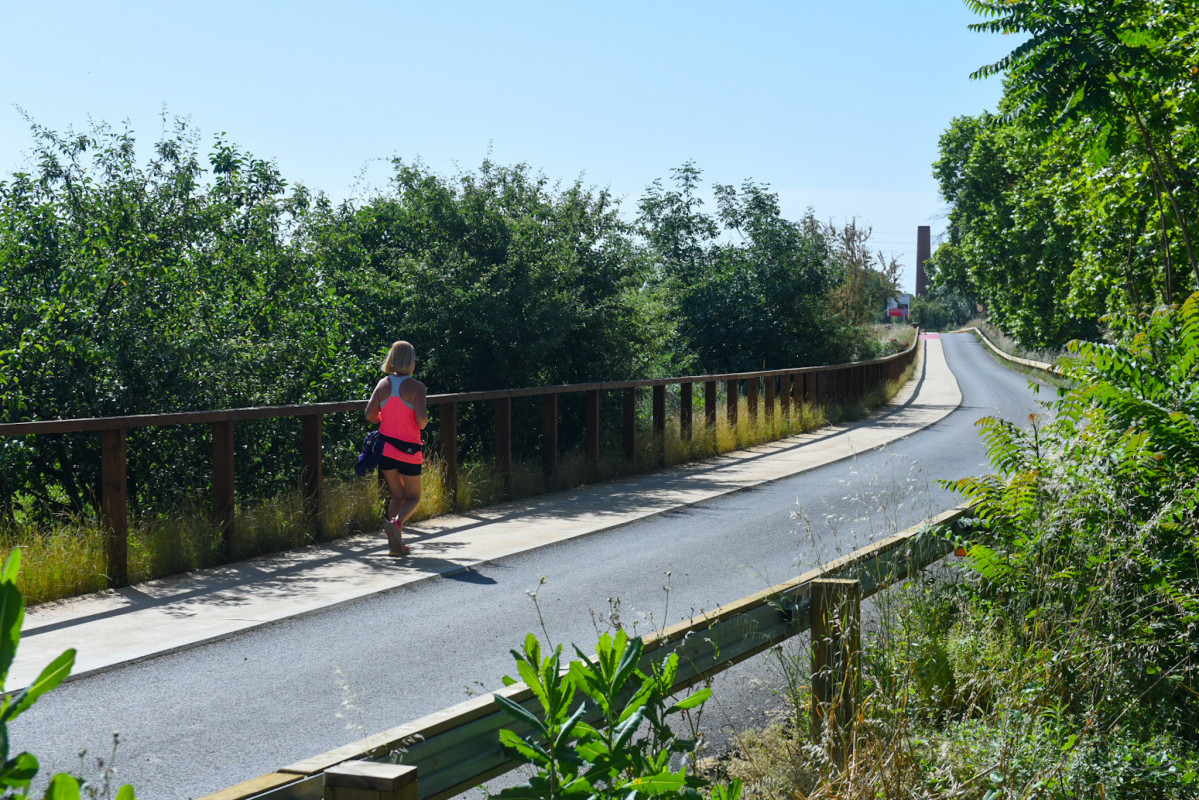 DSC 3266 (1)