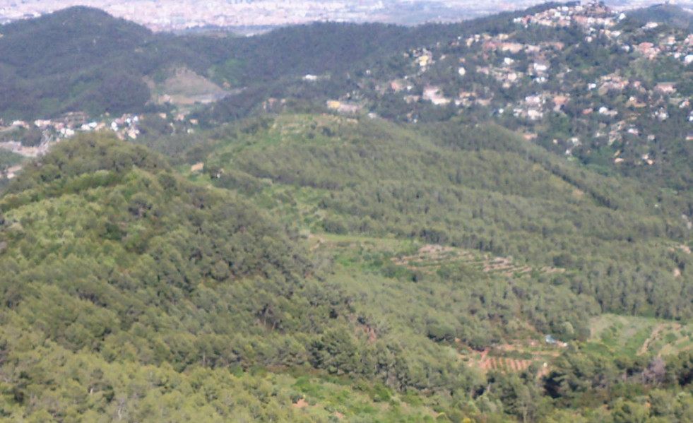 Montanyesbaix