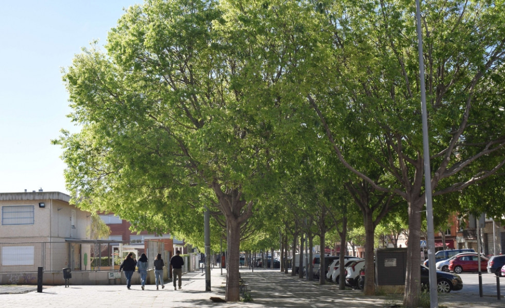 Foto noti viladecans.cat 1024x576 viladecans.cat  4