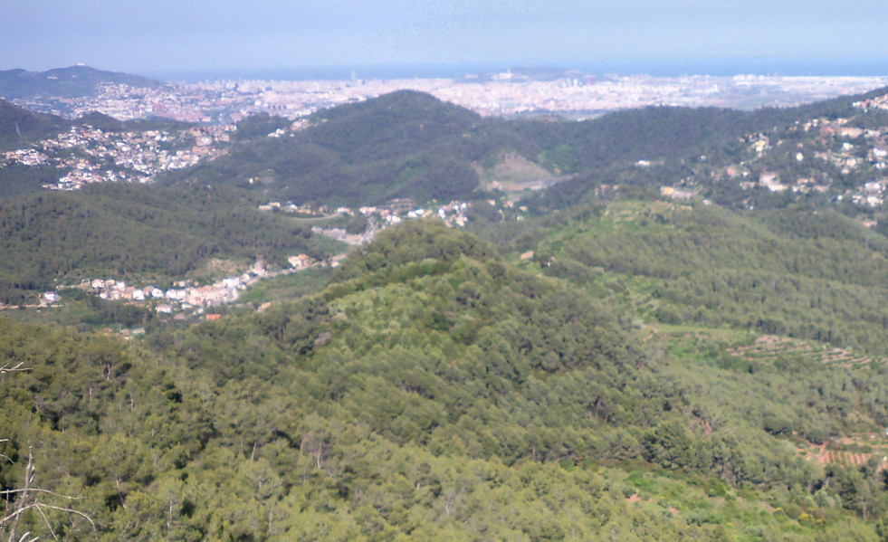 Montanyesbaix (1)