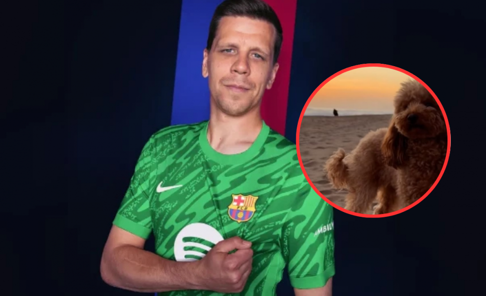 Vilapress szczesnygossa