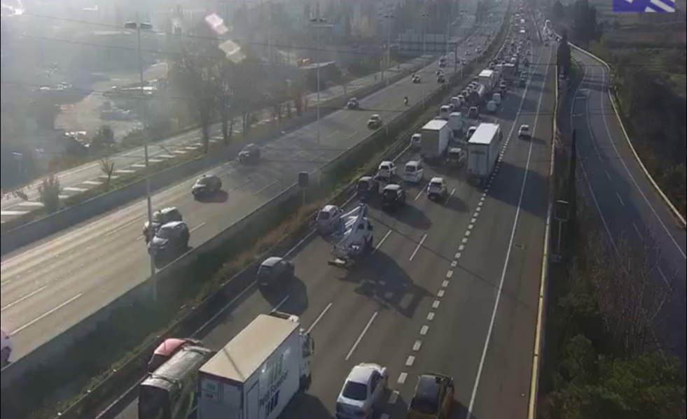 Trafico 5